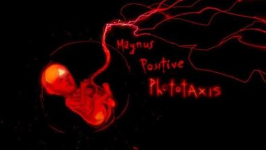 Featured Magnus Positive Phototaxis Free Download