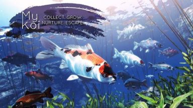 Featured My Koi Free Download