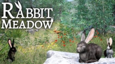 Featured Rabbit Meadow Free Download
