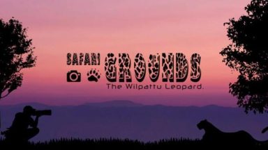 Featured Safari Grounds The Wilpattu Leopard Free Download