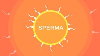 Featured Sperma Free Download