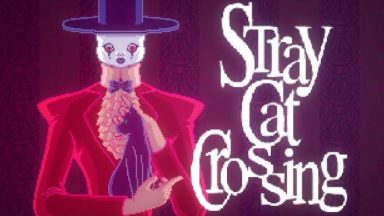 Featured Stray Cat Crossing Free Download