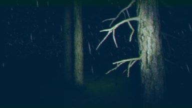 Featured Thesignal Free Download