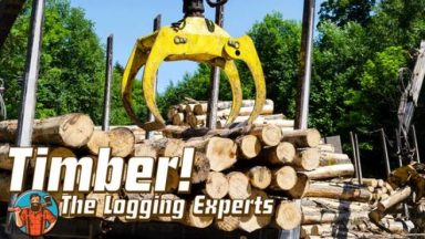 Featured Timber The Logging Experts Free Download