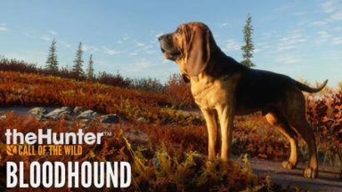 Featured theHunter Call of the Wild Bloodhound Free Download