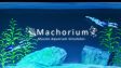 Featured Machorium Muscle Aquarium Simulator Free Download