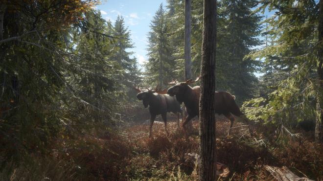 theHunter Call of the Wild Sundarpatan Hunting Reserve Torrent Download
