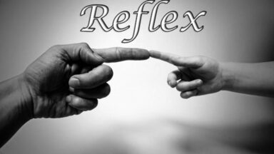 Featured Reflex Free Download