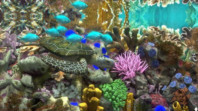 Behind Glass Aquarium Simulator PC Crack