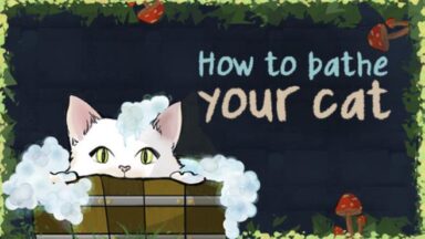 Featured How To Bathe Your Cat Free Download
