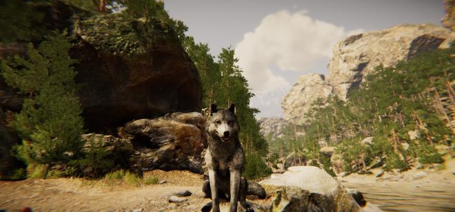Animal Simulator Torrent Download