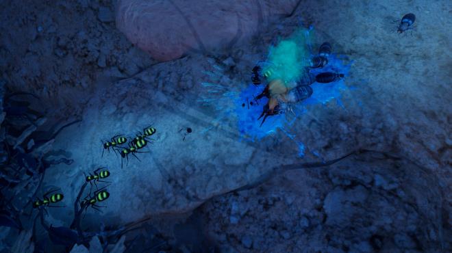 Empires Of The Undergrowth Exploding Ants PC Crack