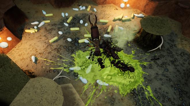 Empires Of The Undergrowth Exploding Ants Torrent Download