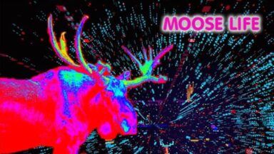 Featured Moose Life Free Download