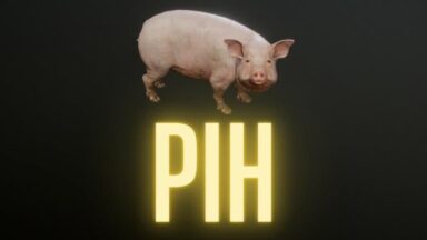 Featured Pih Free Download