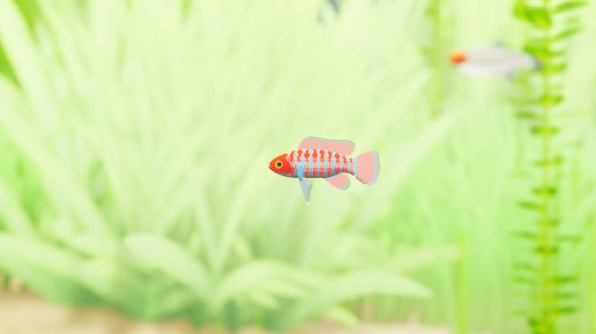 Fish Game Indian Subcontinent Fish Pack 1 PC Crack