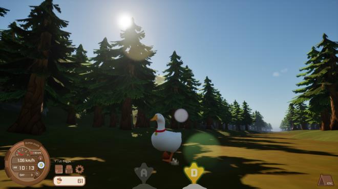 Ducky The Curious Torrent Download