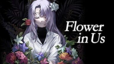 Featured Flower in Us Free Download