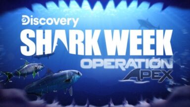Featured Shark Week Operation Apex Free Download