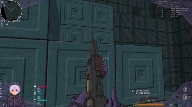 Beyond Citadel v0 99b PC Crack
