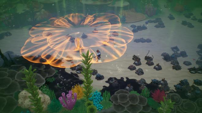 Coral Island PC Crack