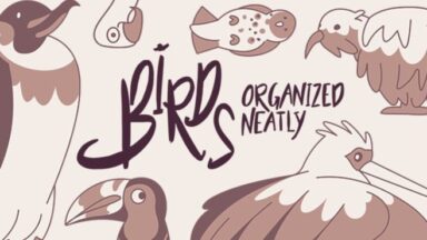 Featured Birds Organized Neatly Free Download