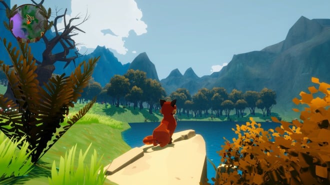 Harmony in the Wild Torrent Download Harmony in the Wild Torrent Download