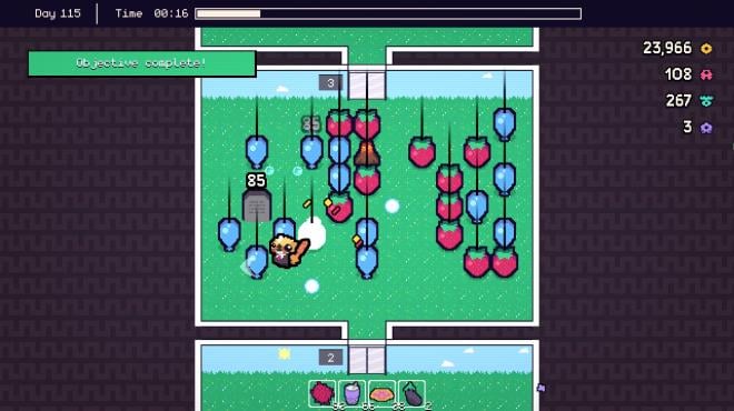 Piñata Go Boom Torrent Download
