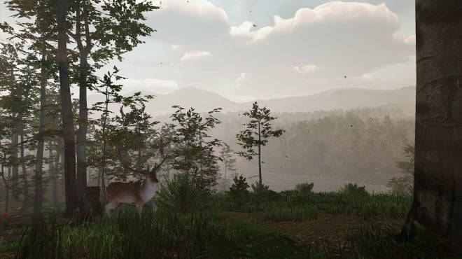 Virtual Hunter Torrent Download Virtual Hunter Torrent Download