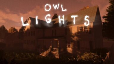 Featured Owl Lights Free Download
