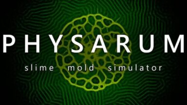 Featured PHYSARUM Slime Mold Simulator Free Download