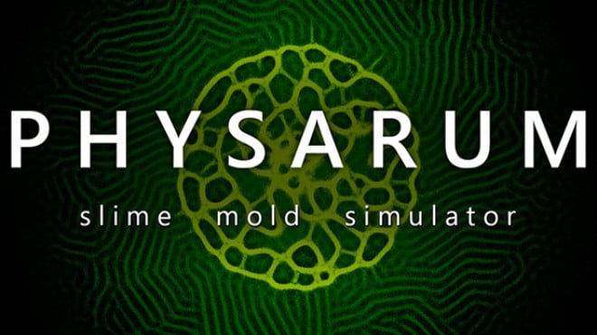 PHYSARUM: Slime Mold Simulator Free Download