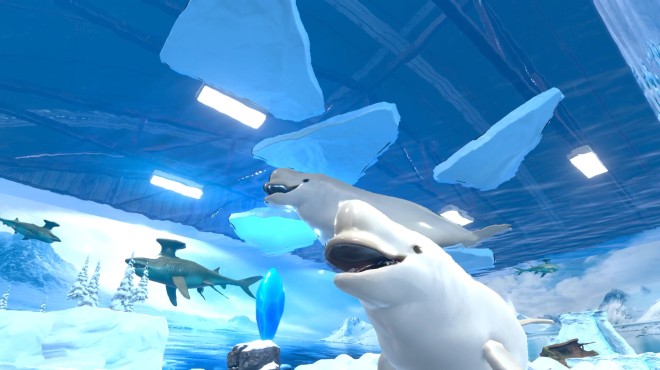 Aquarist Arctic Torrent Download Aquarist Arctic Torrent Download