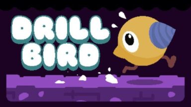 Featured Drill Bird Free Download