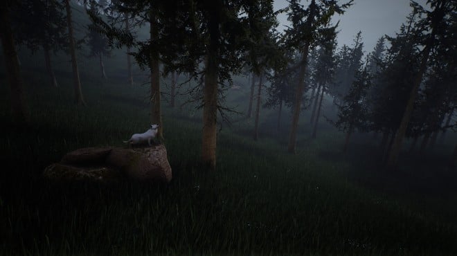 Survivalizm The Animal Simulator Torrent Download