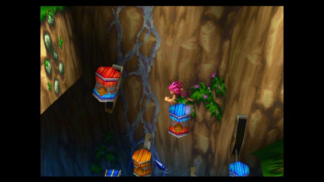 Tomba! 2: The Evil Swine Return Special Edition Torrent Download