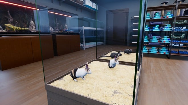 Exotica 2 Pet Shop Simulator PC Crack