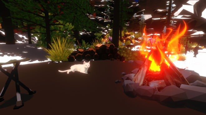 Campfire with Cat PC Crack Campfire with Cat PC Crack