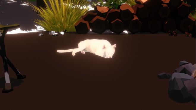 Campfire with Cat Torrent Download Campfire with Cat Torrent Download