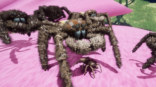 Nature And Life Drunk On Nectar Peacock Jumping Spider PC Crack Nature And Life Drunk On Nectar Peacock Jumping Spider PC Crack