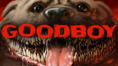 Featured Good Boy Free Download