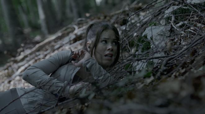 The Run Torrent Download