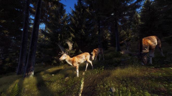 Way of the Hunter PC Crack Way of the Hunter PC Crack
