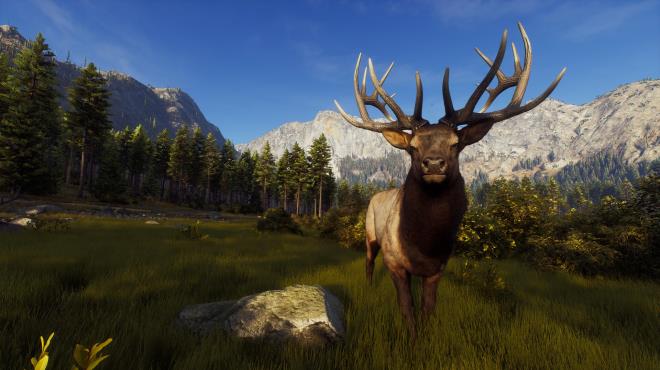 Way of the Hunter Torrent Download Way of the Hunter Torrent Download