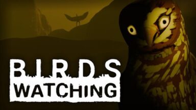 Featured Birds Watching Free Download
