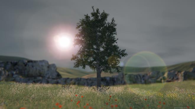 Tree Simulator 2020 PC Crack