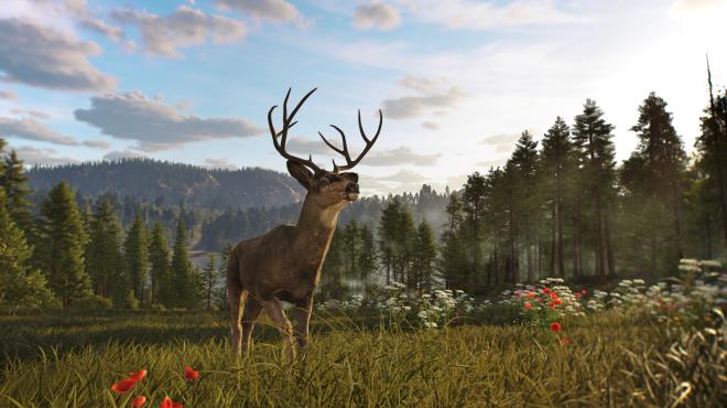 Way of the Hunter 2 Torrent Download