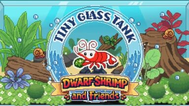 Featured Tiny Glass Tank Dwarf Shrimp and Friends Free Download