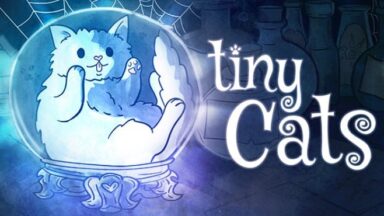 Featured tiny Cats Free Download