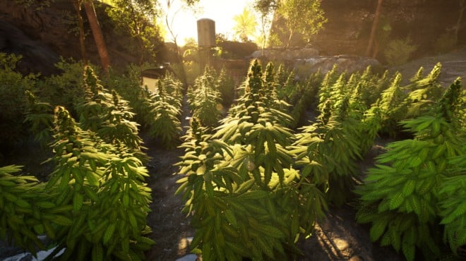 Weed Shop 4: Highland Torrent Download